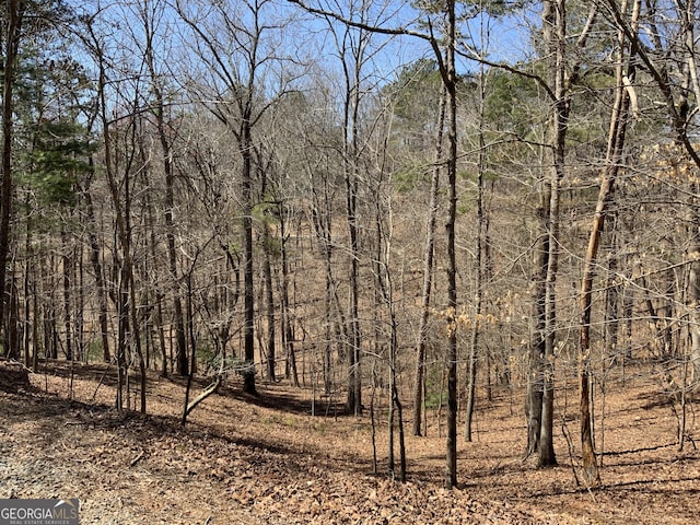 114 Palisade Dr, Ellijay, GA 30540 - view of local wilderness with a forest view