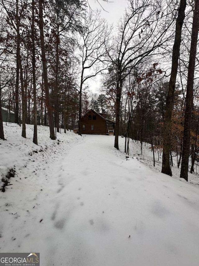 114 Palisade Dr, Ellijay, GA 30540 - view of yard covered in snow
