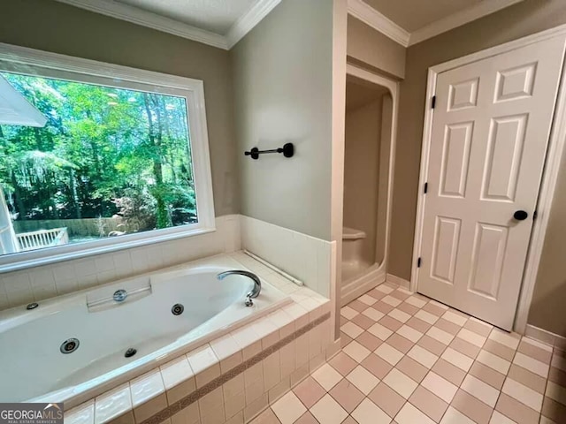 bathroom with a shower, a jetted tub, and crown molding