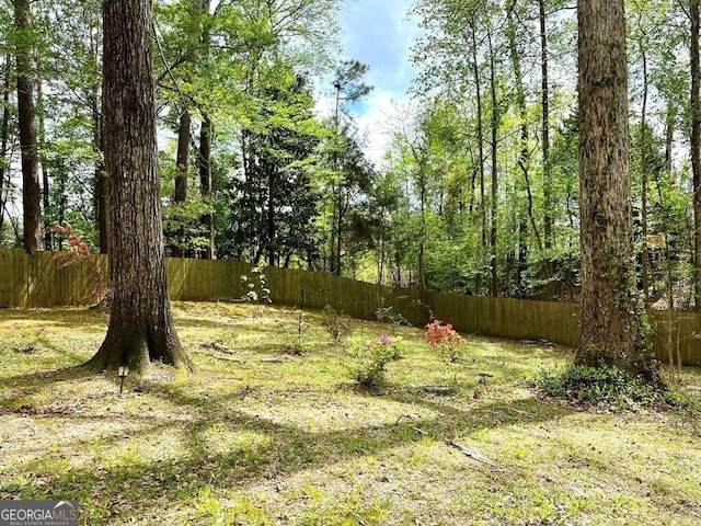 view of yard with fence