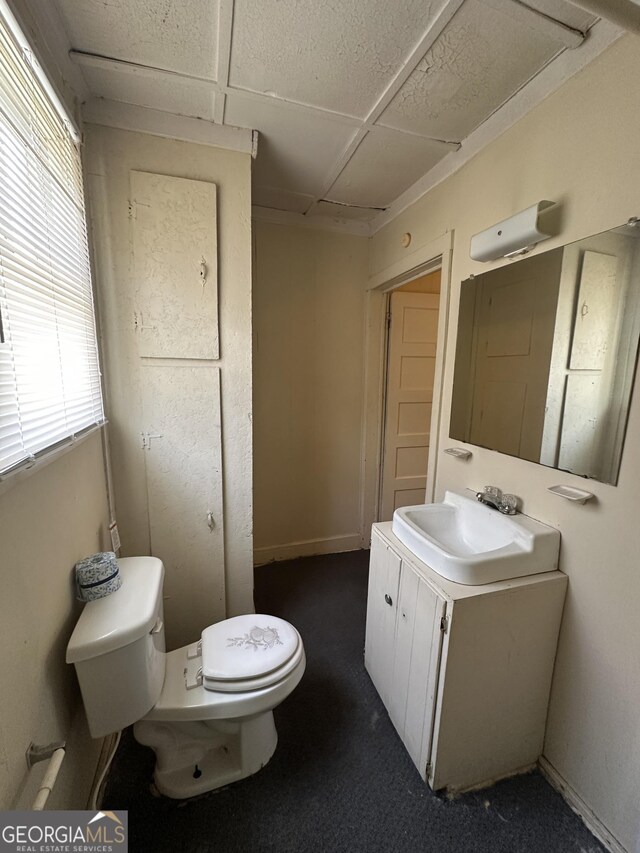 bathroom with toilet and vanity