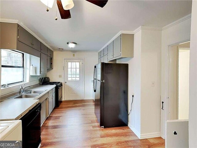 kitchen featuring black appliances, light wood-style flooring, ornamental molding, a sink, and ceiling fan