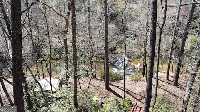 property view of water featuring a wooded view