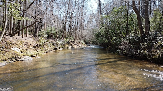 view of water feature with a wooded view