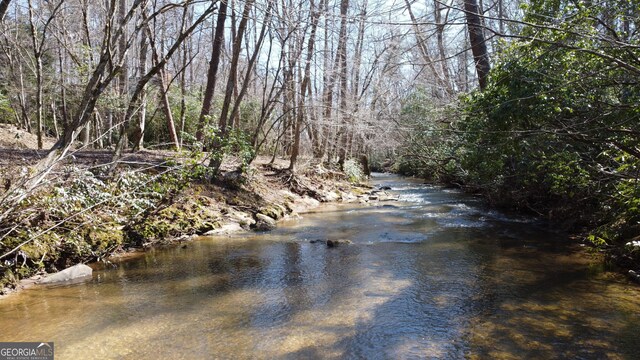 water view with a wooded view