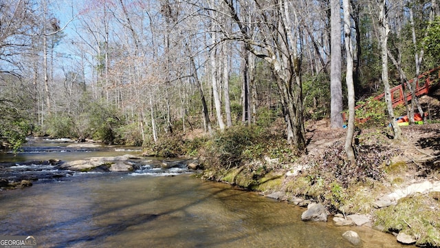 view of yard with a wooded view