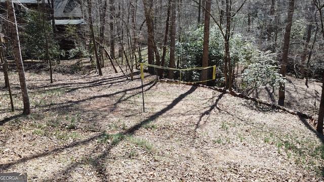 view of yard featuring a forest view