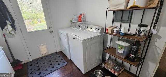 clothes washing area featuring washer and dryer, dark wood-style flooring, and laundry area