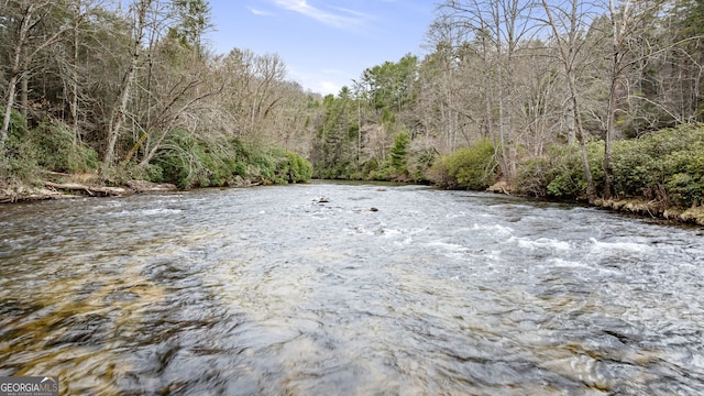 view of yard featuring a forest view and a water view