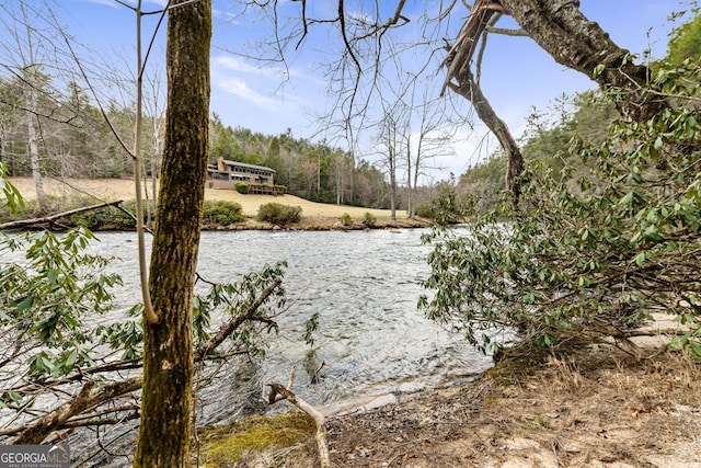 view of yard with a wooded view and a water view