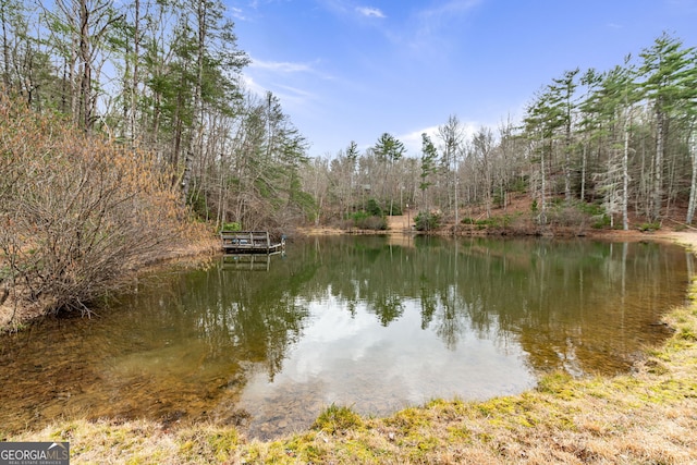 property view of water with a view of trees