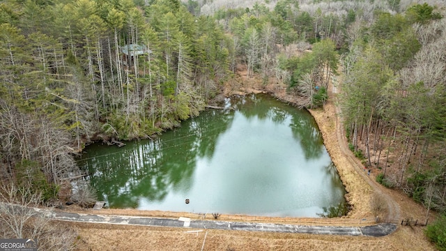 bird's eye view with a view of trees and a water view