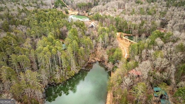 bird's eye view with a water view and a wooded view