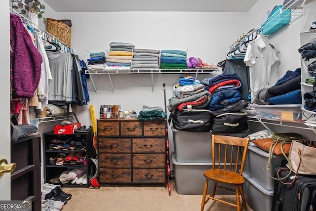 9620 Coastal Pointe Dr, Villa Rica, GA 30180 - spacious closet with carpet