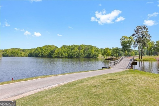 9620 Coastal Pointe Dr, Villa Rica, GA 30180 - water view