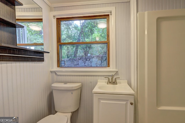 bathroom with toilet and vanity