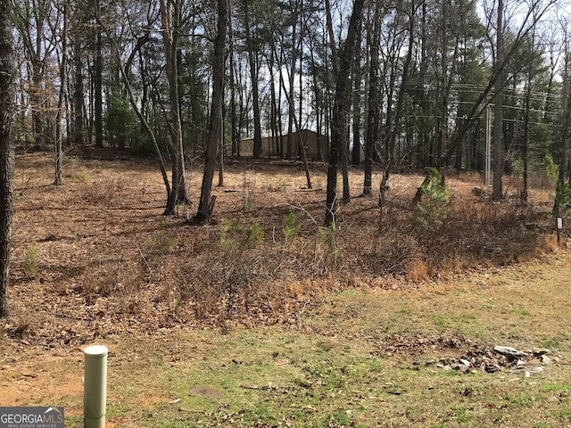 Listing photo 3 for 00 Highland Lot # 1, Blairsville GA 30512