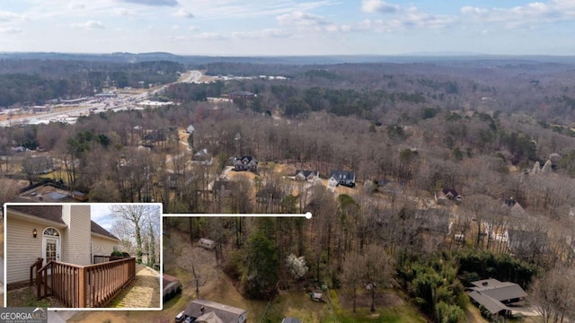 4838 Netherlands Pl, Flowery Branch, GA 30542 - bird's eye view of a forest