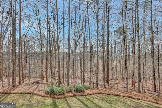 view of yard with a wooded view