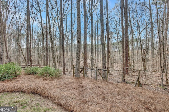 view of nature featuring a wooded view