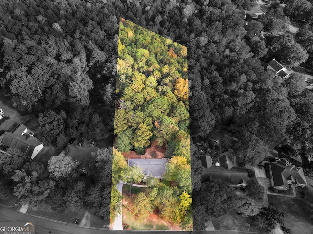 1300 Lakehaven Pkwy, Mcdonough, GA 30253 - aerial view of property and surrounding area featuring property boundaries highlighted and a forest