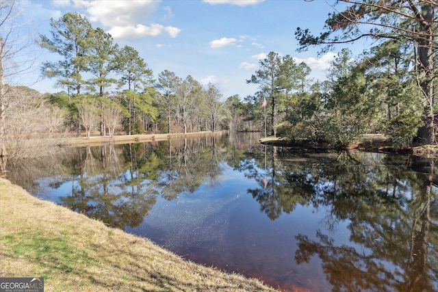 property view of water featuring a wooded view