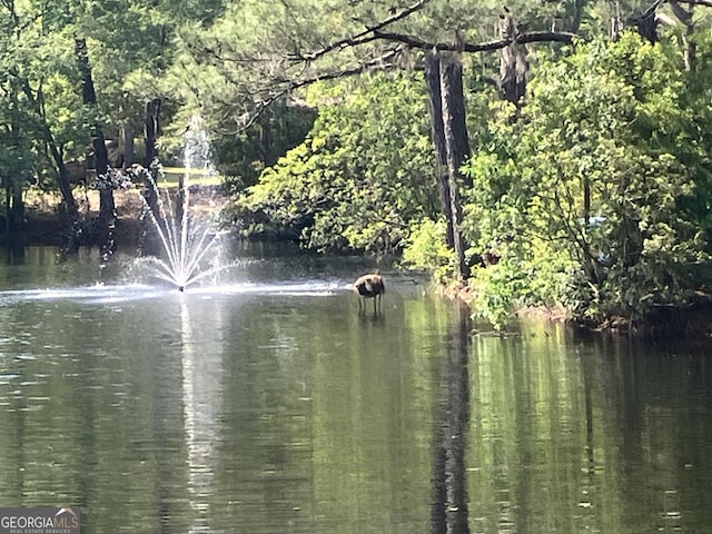 water view