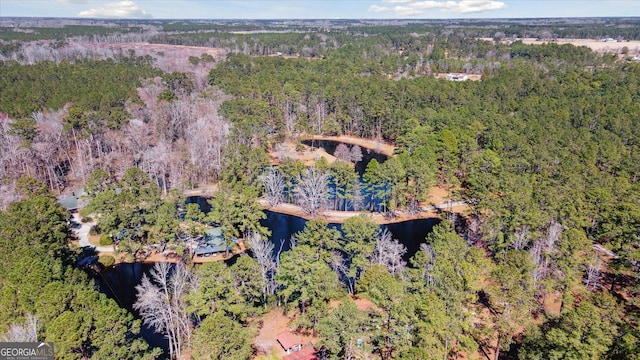 drone / aerial view with a water view and a view of trees