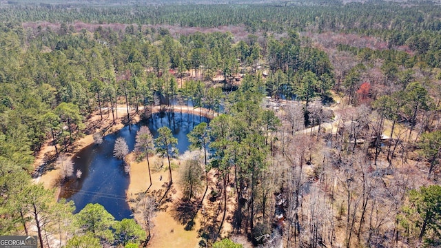 bird's eye view with a water view and a forest view
