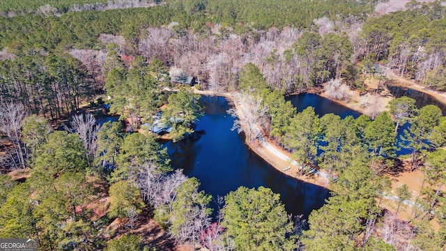 bird's eye view featuring a water view and a view of trees