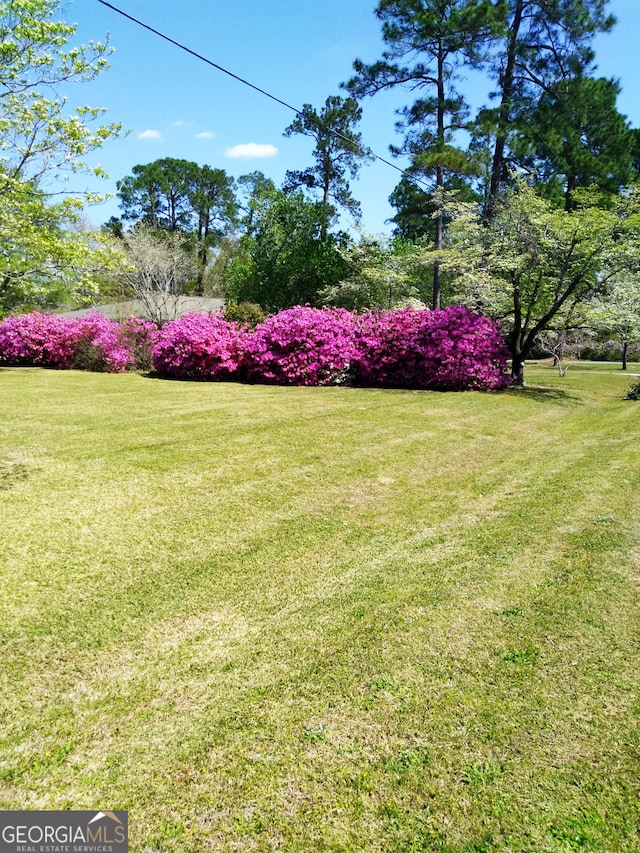 view of yard