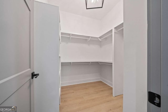 303 Tumbling Shoals Ct, Gray, GA 31032 - spacious closet featuring light wood finished floors