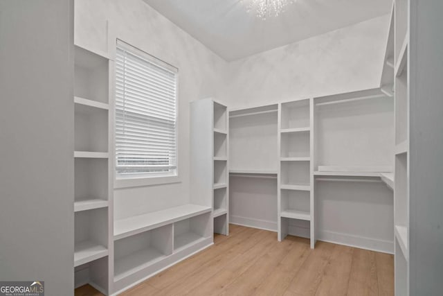303 Tumbling Shoals Ct, Gray, GA 31032 - walk in closet with wood finished floors