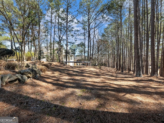 view of yard featuring a trampoline
