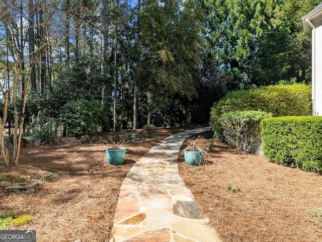 view of yard