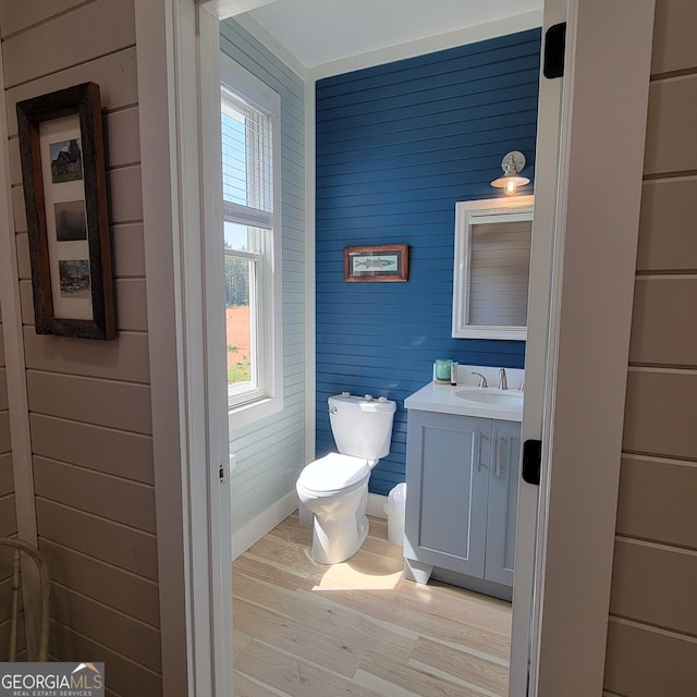 107 Oak Way Dr, Eastanollee, GA 30538 - half bathroom featuring vanity, toilet, and wood finished floors