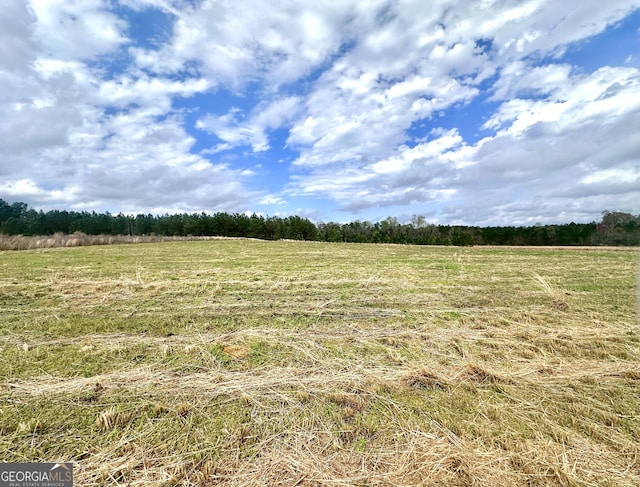 3167 Jason Franklin Rd, Register, GA 30452