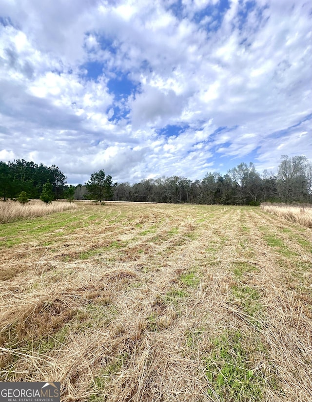 3167 Jason Franklin Rd, Register, GA 30452