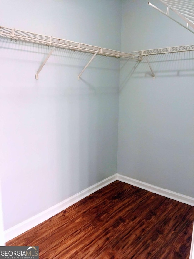 walk in closet with dark wood-type flooring
