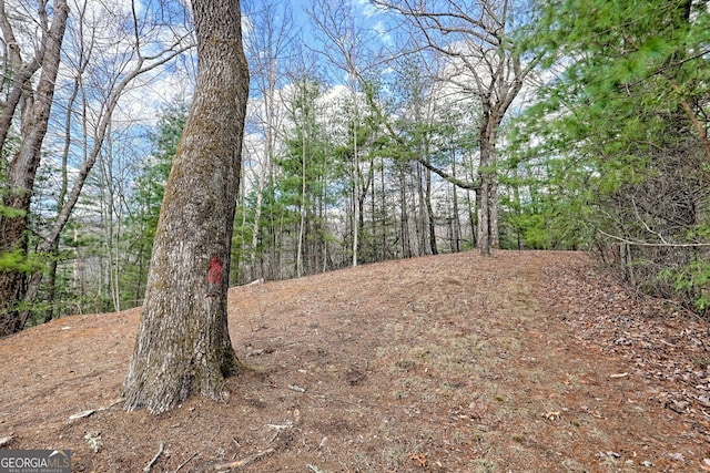 1068 Coleman River Rd, Clayton, GA 30525 - view of nature