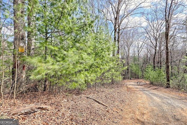1068 Coleman River Rd, Clayton, GA 30525 - view of street featuring a forest view