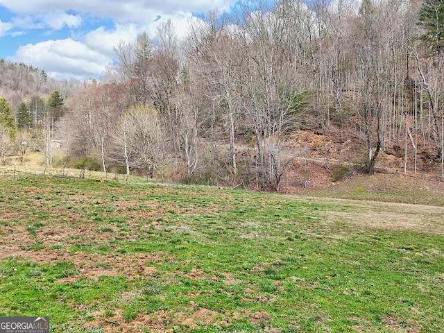1068 Coleman River Rd, Clayton, GA 30525 - view of grassy yard
