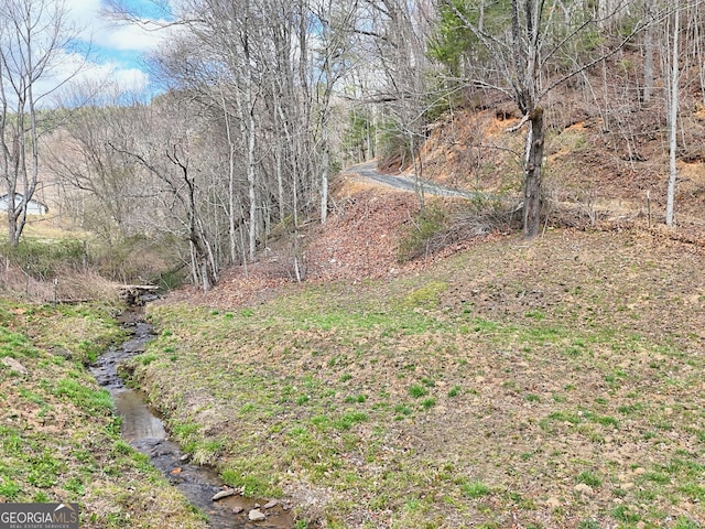 1068 Coleman River Rd, Clayton, GA 30525 - view of yard