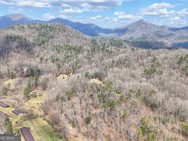 1068 Coleman River Rd, Clayton, GA 30525 - mountain view with a heavily wooded area