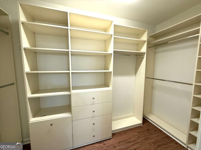 walk in closet with dark wood-type flooring