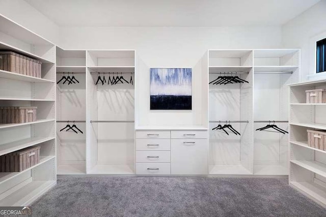 spacious closet with carpet flooring