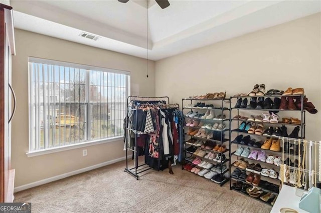 walk in closet with visible vents, ceiling fan, carpet, and a tray ceiling