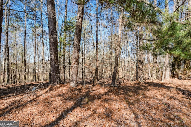 view of local wilderness featuring a forest view