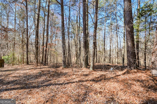 view of local wilderness featuring a view of trees
