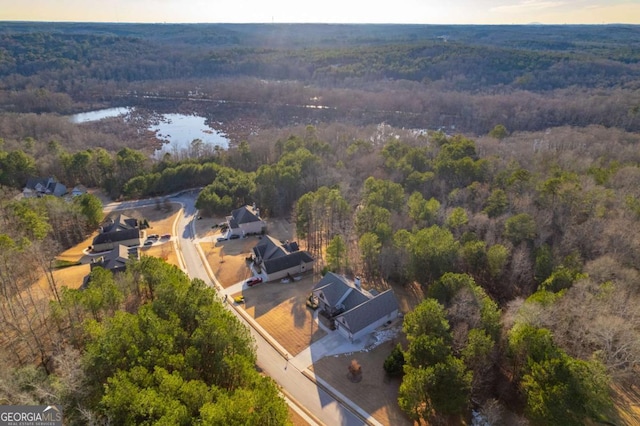 drone / aerial view with a wooded view and a water view